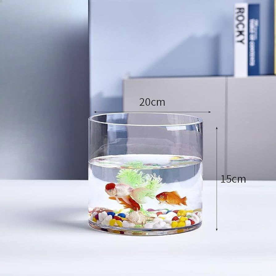 Amazon | 金魚水槽 ミニ水槽 水槽 透明 花瓶 ガラス製 円筒形