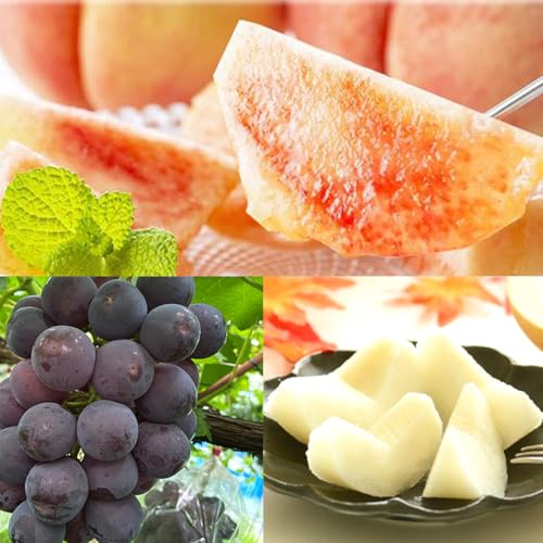 [定期便][全3回 定期便] 紀州和歌山産旬のフルーツセット(桃・梨・ピオーネ) [UT142]