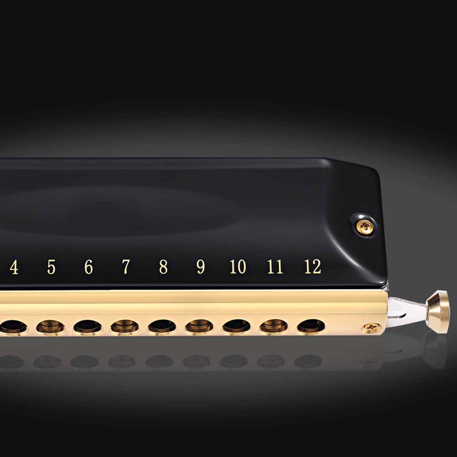 Armonica blues in do 16 fori blues arpa diatonica bocca organo in per adulti principianti