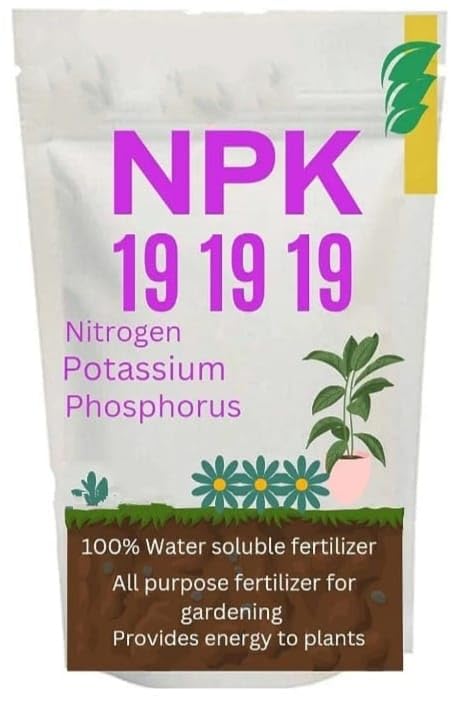 PLANT FUEL | Fertilizer for Indoor and Outdoor Plants, NPK 19-19-19 Formula (450) (B0D9TTK1FH) Amazon Price History, Amazon Price Tracker