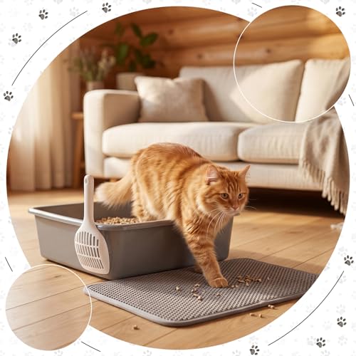 Hushee set 4 pz areneros grandes gatos con pala miniatura 6