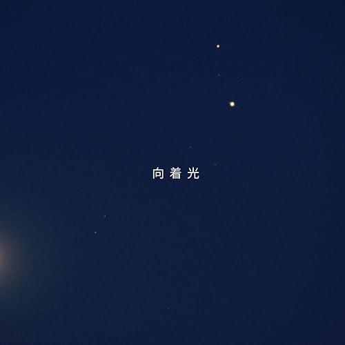向着光 (伴奏)