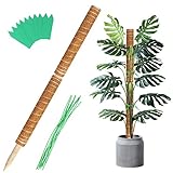 Augshy 27 Inches Moss Poles - 2 Pcs 17 Inches Plant Stakes Moss Sticks for Monstera Indoor Creepers...