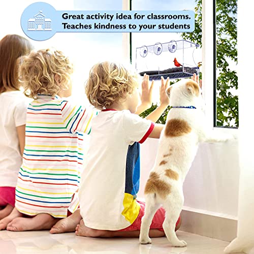 Pawbee Window Bird Feeder - Window Bird Feeders With Strong Suction Cups - Suction Cup Bird Feeder Window With Drain Holes For Rain - Clear Bird Feeders For Window - Bird House For Window Outside #TOP6