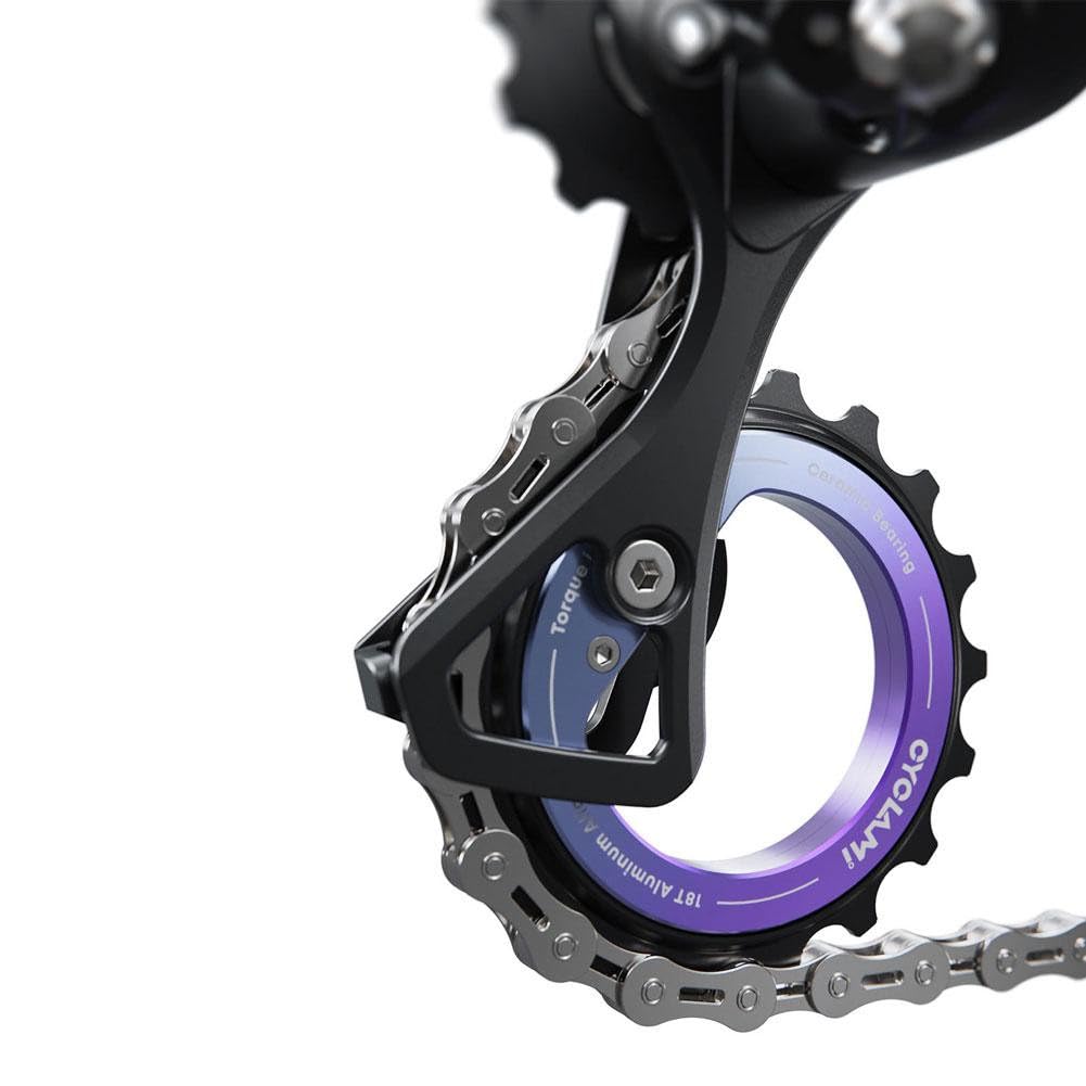RACEWORK ビッグプーリー 13T-18T カーボン セラミック Amazon.co.jp: 18T 中空偏心ビッグプーリー 自転車用 18T ガイド