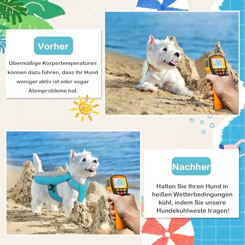 Hjumarayan Kühlweste für Hunde, Kühlweste Hund mit D-Ringe Sommer Kühlmantel für Hunde Kühlgeschirr Atmungsaktiv Kühlende Hundeweste, Hundekühlweste für Heißen Sommertagen, Blau XS