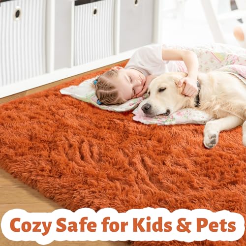 Amdrebio Burnt Orange Area Rugs for Living Room Bedroom, 6x9 Shaggy Furry Fuzzy Fluffy Rug for Kids Room Decor Aesthetic, Large Cute Plush Shag Dark Orange Carpet for Nursery Dorm Classroom Playroom