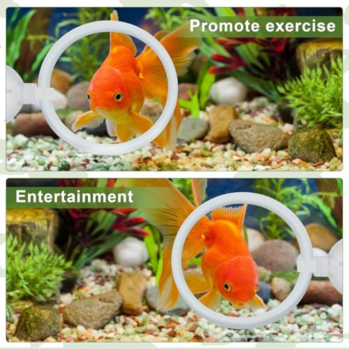 Image of 2 Pcs Betta Fish Exercise Ring and Betta Mirror Set,Betta Ring Enrichment Toys,Betta Toys Suitable for Fish Tank, Betta Tank, Betta Aquarium
