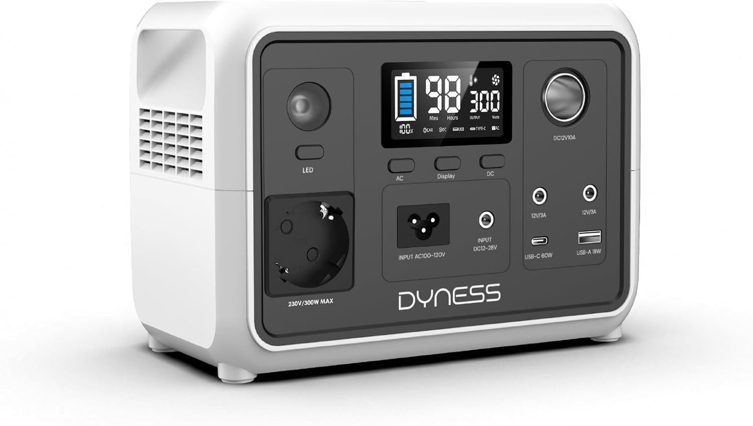 Dyness Power Station portatile da 300 W, batteria LiFePO4, presa elettrica portatile, 256 Wh, con 6 uscite e 4 opzioni di ricarica, alimentazione di emergenza per campeggio, camper, viaggi e emergenze
