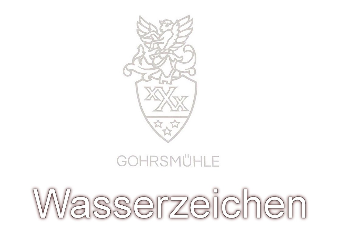 100 x GOHRSMÜHLE Premium Briefpapier im DIN A3 Format (297 x 420 mm) Grammatur 110g/m² mit echtem Wasserzeichen, Farbe matt weiß leicht cremefarben