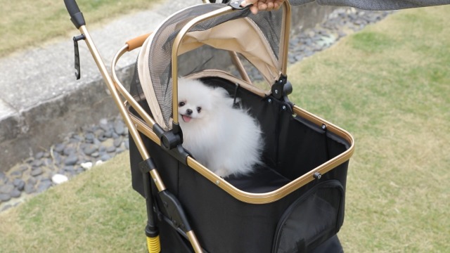 Nastarki Hondenwagen, 15 kg, huisdier, buggy, hond, kat, opvouwbare hondenbuggy, 3 wielen, huisdier, kinderwagen met regenbescherming en opbergmand, hondenbox voor kleine honden, katten (blauw