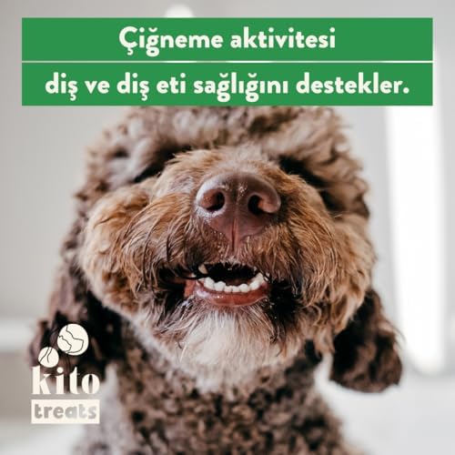 Kito Dana İnce Sinir Çiğnemelik Köpek Ödül Maması %100 Doğal, Glutensiz, Organik 100 gr - Görsel 4