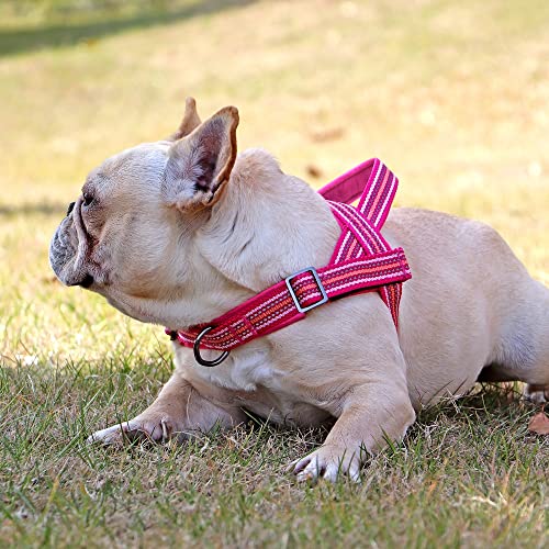 Imbracatura per Bulldog Francese No Pull Pet Imbracatura per Cani Imbottita in Nylon Imbracatura Riflettente per Cani di Piccola e Media Taglia