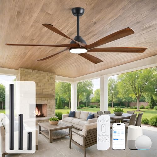 ShreeFindee 60" Smart Outdoor Ceiling Fan with Light
