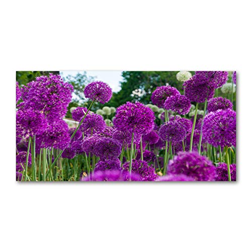 Fond de hotte violet fleurs d'ail pour illuminer votre cuisine moderne