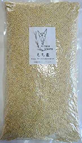 もち麦 4.2kg 国産 無農薬・無化学肥料栽培大麦 もち絹香 栃木県産