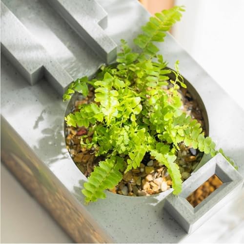 Acquario per acquario, kit di base per pesci, gamberetti, pesci rossi, con pompa ad aria e luce, piccolo acquario da tavolo, decorativo retrò silenzioso