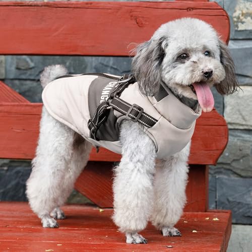 Oslueidy Hunde Winterjacken,Warme Hundemäntel Reflektierend Hundekleidung wasserdichte Welpenweste für kaltes Wetter mit Hundegeschirr für kleine mittelgroße Hunde