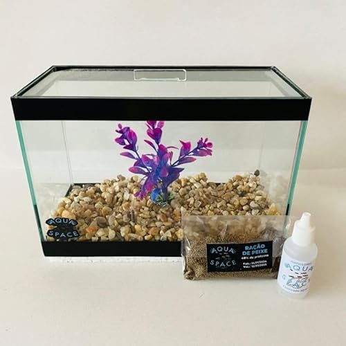 Aquário decorado 4 litros, modelo compacto (1planta artificial+ 1pacote de pedra+ anticloro+ ração).