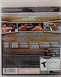 「UFC Undisputed 2010」の関連画像