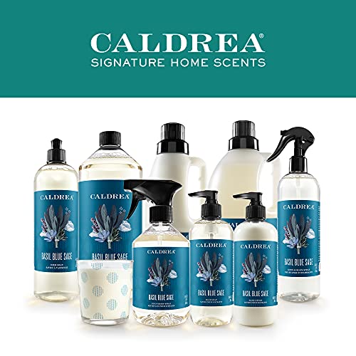 Caldrea Linen And Room Spray Air Freshener, Made With Essential Oils, Plant-Derived And Other Thoughtfully Chosen Ingredients, Basil Blue Sage Scent, 16 Oz (Packaging May Vary) #TOP6