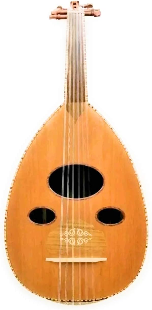 Professional New Oud by Zeryab Folk Fretless Guitar+ Labella strings