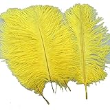 ADAMAI 10PCS Natural 7.8-9.8inch Ostrich Feathers Plume for Wedding Centerpieces Home Decoration (Yellow)