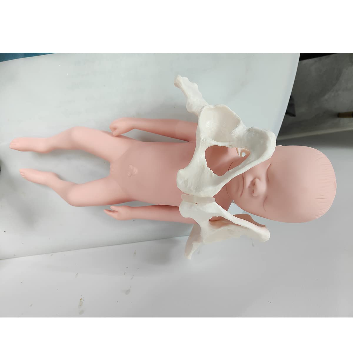 Model treningowy położnictwa – elastyczna silikonowa lalka model miednicy żeńskiej - poród miednicy, ginekologia, nauczanie anatomii, model medyczny do edukacji naukowej, z ciemiączkiem (mężczyzna)