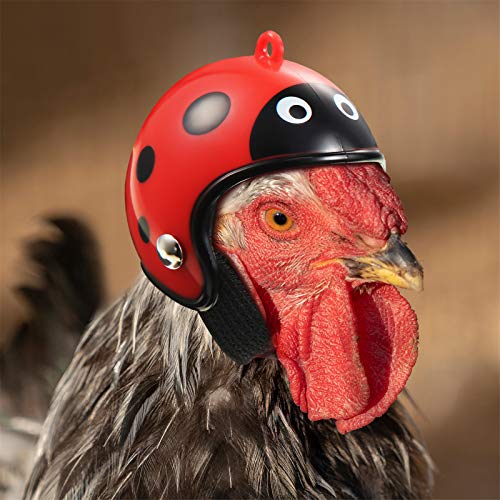 image for Skylety 8 Pieces Hens Helmet Chicken Helmet Pet Safety Helmet Funny Pa