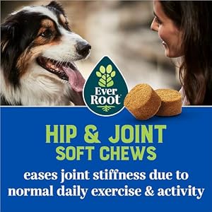 by Purina Hip and Joint Dog Supplements Soft Chews - 10.6 oz. Canister by Purina Hip and Joint Dog Supplements Soft Chews – 10.6 oz. Canister