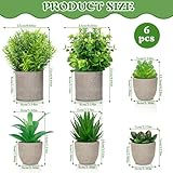 Zoom IMG-1 mzjauvf 6 pezzi mini piante Zoom IMG-1 mzjauvf 6 pezzi mini piante