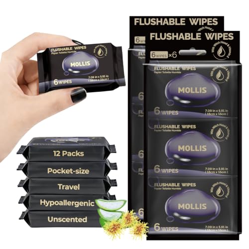 Image of MOLLIS Witch Hazel Flushable Wipes for Adults, Extra Large, 72 Count