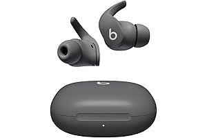Bang & Olufsen Beoplay EX True Wireless Noise Cancelling Earbuds