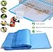 Firdnyohs 100 Pcs Bird Cage Liner Papers 11X17in Blue Cage Paper Liners Disposable Cage Paper Liners Thicken Precut Absorbent Cushion Pad Mat Accessories for Pet Bird Parrot(Blue)