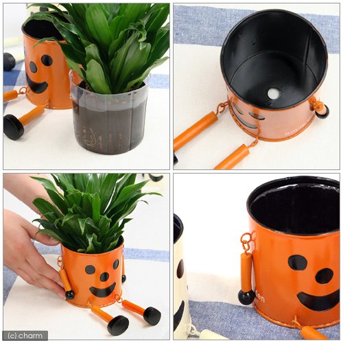 Amazon.co.jp: ケーイーアイ GREENHOUSE ブリキマンポット M