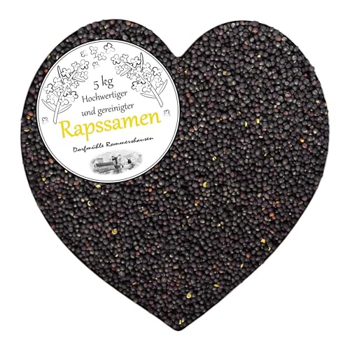 Rapssamen lose 5 Kg