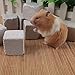 Litewoo 5CM Hamster Lava Chewing Toy Square Pumice Teeth Grinding Stone for Small Animal Hamster Rat Rabbit Chinchilla Guinea Pig (Pack of 10)