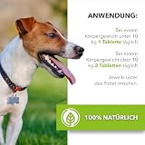Flohnix Tabletten – Floh und Zeckenschutz für Hunde – Flohtabletten Katzen