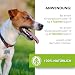 Flohnix Tabletten – Floh und Zeckenschutz für Hunde – Flohtabletten Katzen