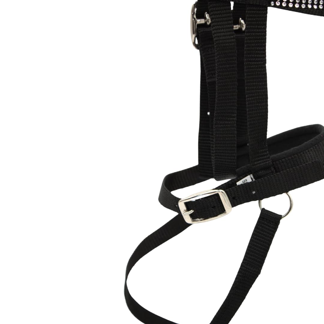 PFIFF- Briglia, Colore Nero, 103126