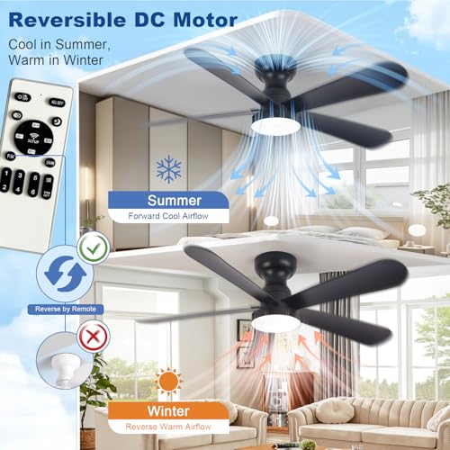 Image of Depuley Black Ceiling Fan with Lights: 42-Inch Flush Mount Fan with Light and Remote - Low Profile Ceiling Fans Reversible Quiet DC Motor for Bedroom Living Room Indoor Outdoor