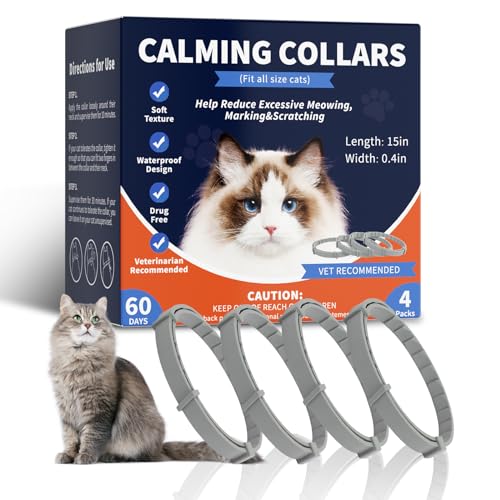 10 Best Pheromone Collars For Cats 2024