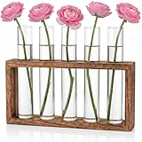 Cieex Kleine Vintage Blumenvase, Modern Glas Reagenzgläser für Blumen Mit Ständer Holz, Glasrohre mit Flachboden Vasen Deko Set für Hydrokultur Pflanzen Tischdeko Hause Büro Wohnzimmer Küche Deko