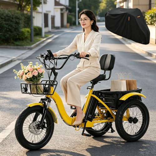 WhFKLca Triciclo Eléctrico para Adultos, 3 Modos De Conducción B