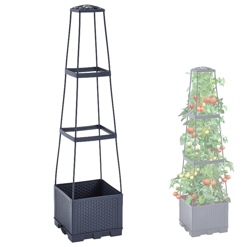See full amazon price history chart for HASTHIP® Twining Plant Stand Support - 114CM Climber Support for Plants - Plastic Raised Planter Box - Creepers & Climbers Plants Planter Stand - Balcony Decor Plant Stand with Draining Holes & Trelli HASTHIP® Twining Plant Stand Support - 114CM Climber Support for Plants - Plastic Raised Planter Box - Creepers & Climbers Plants Planter Stand - Balcony Decor Plant Stand with Draining Holes & Trelli (B0CKYTCJY8) Amazon Price History, Amazon Price Tracker
