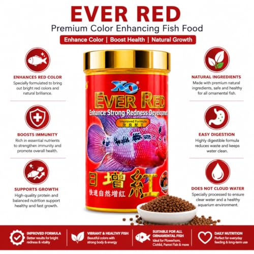 Image of VAYINATO All Life Stages Pellet Ocean Free Xo Ever Red (Original) Fish Food, 280Ml /100G|Enhance Strong Redness Development For Flowerhorn Fish