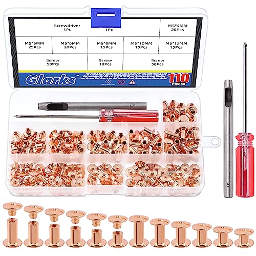 Glarks 110 Sets 6 Sizes Chicago Screws Leather Rivets with Punch and Screwdriver Kit