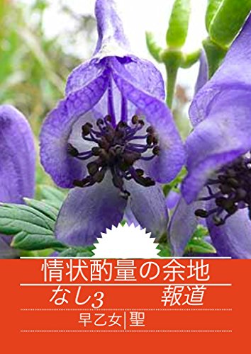 情状酌量の余地なし３ 報道 早乙女聖 小説 文芸 Kindleストア Amazon