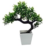 Party Tonight Artificial Japanese Zen Bonsai Tree Home Planet with Pot. Perfect for a Desk, Table, Office, Home Or Shelf Decoration