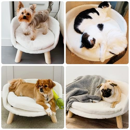 BingoPaw Hundesofa Hundecouch für kleine Hunde, erhöhtes Haustiersofa Hundebett mit Plüsch Hundekissen, katzensofa große Katzen, 61.5×32.8cm weiß